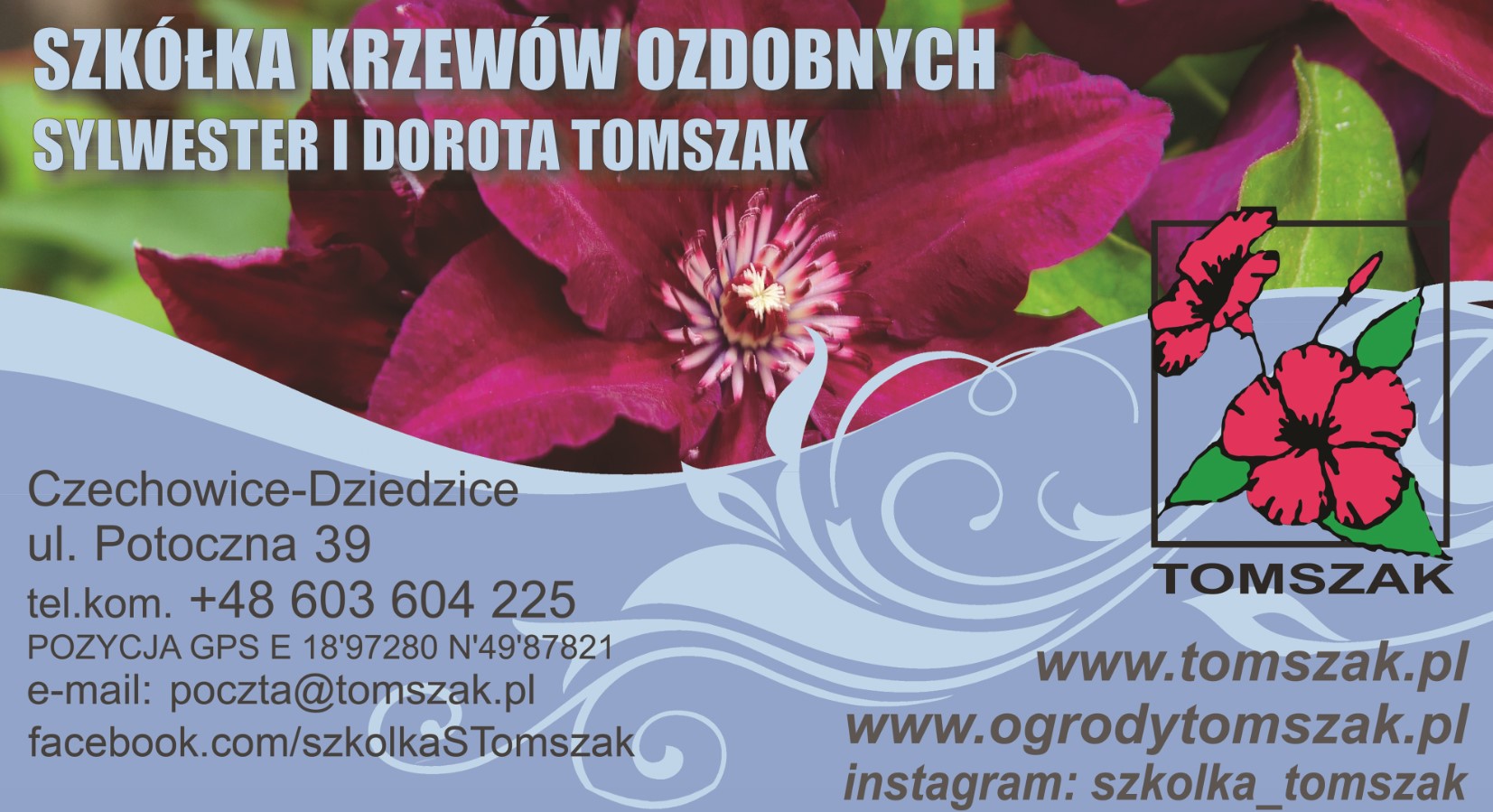 krzewy ozdobne CZECHOWICE-DZIEDZICE